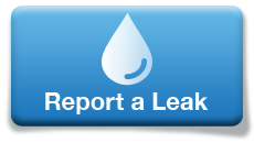 Report a Leak